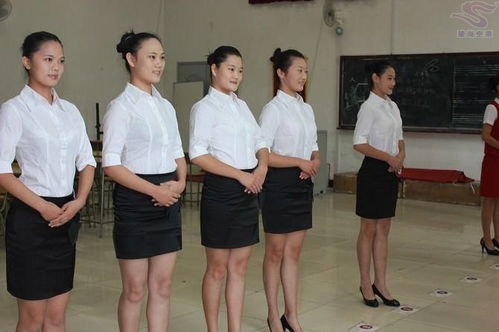 山东空乘培训学校