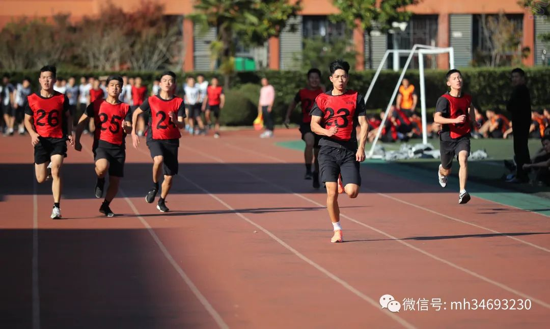 图片16